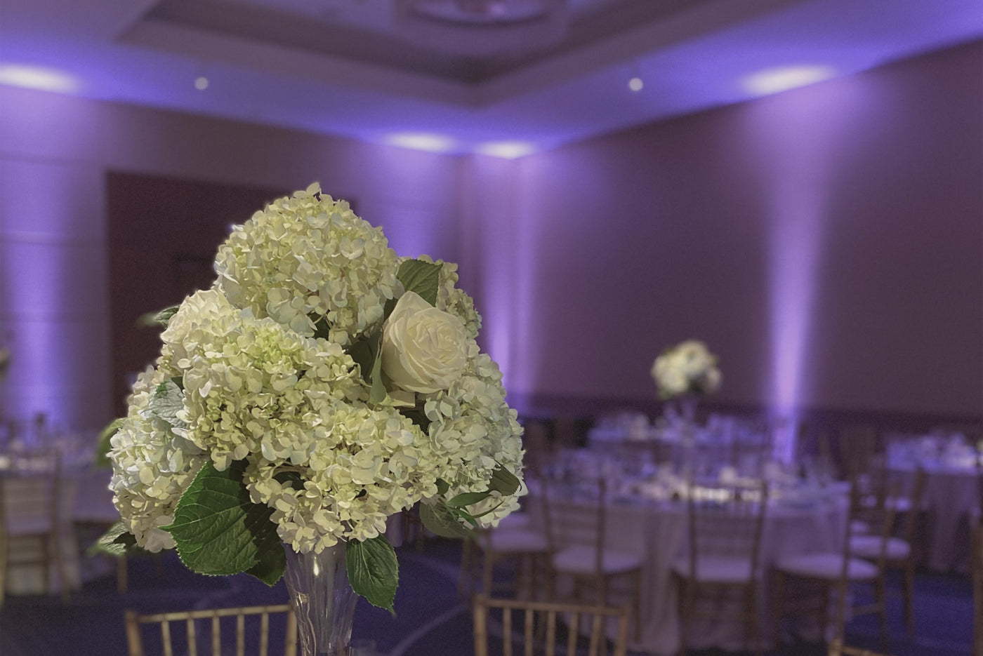 A wedding reception with white flowers and purple uplighting to enhance the wedding theme.